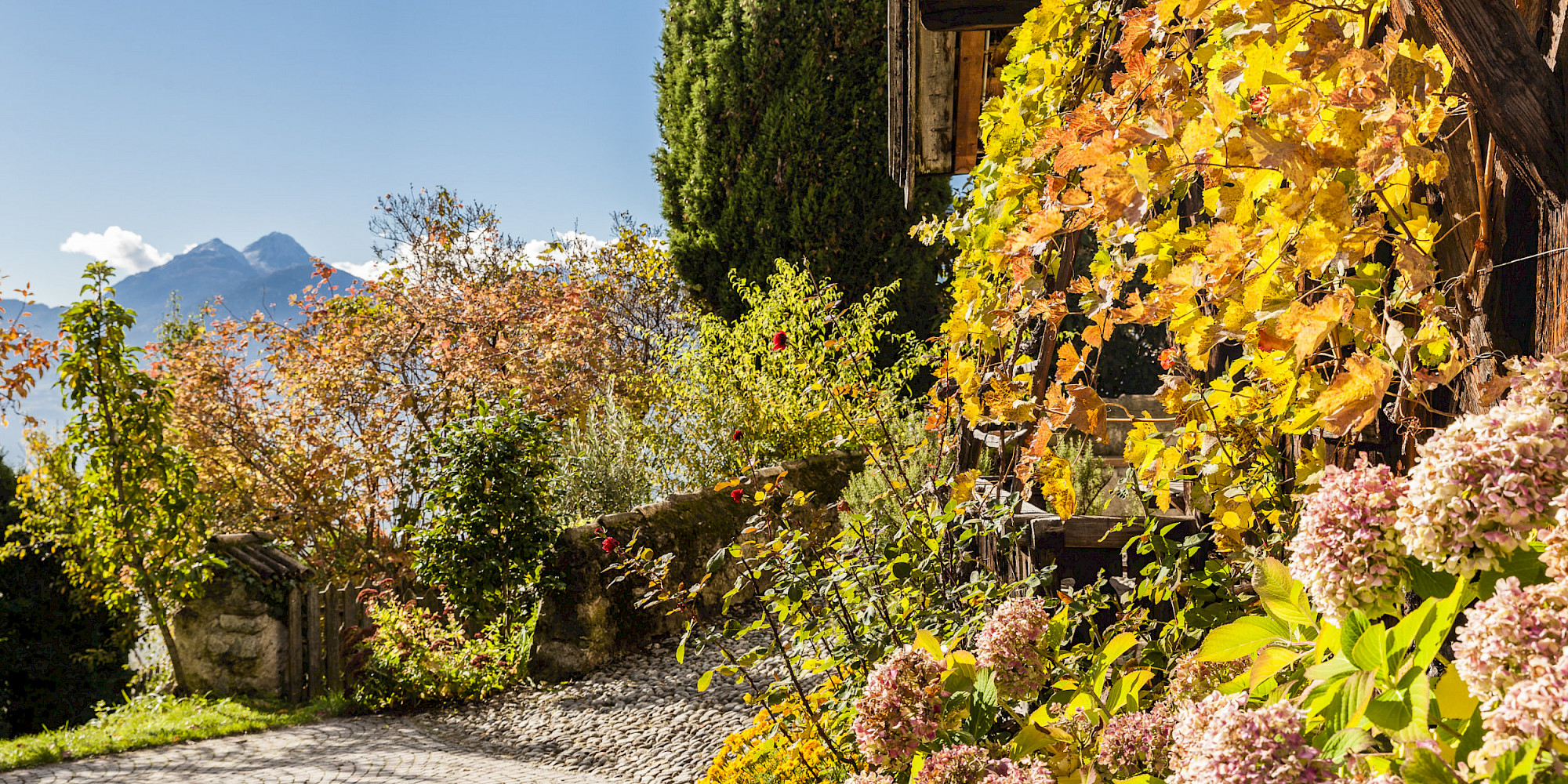 Herbst in Schenna